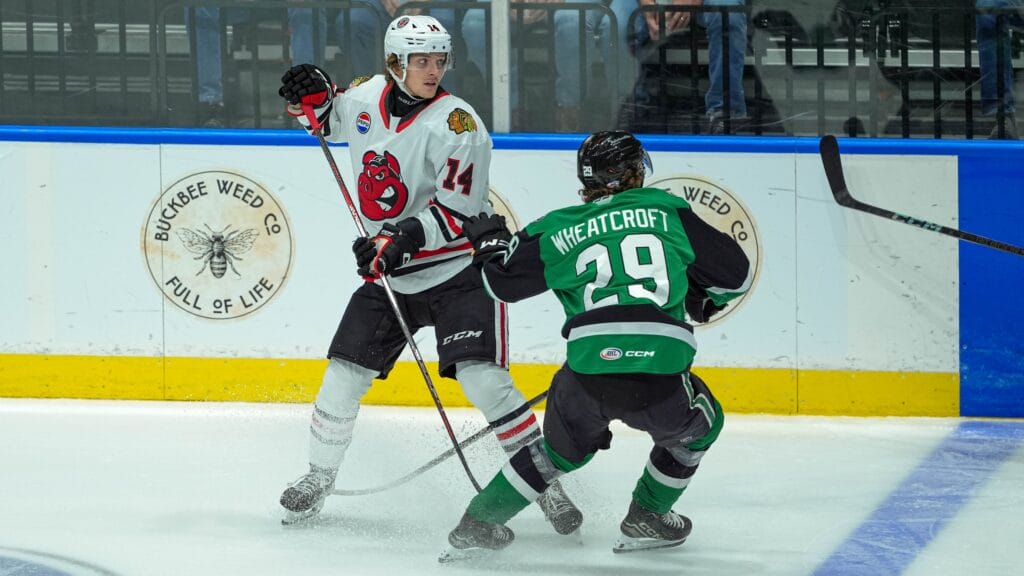 Pigs in Puck: Rockford IceHogs have best week of the season