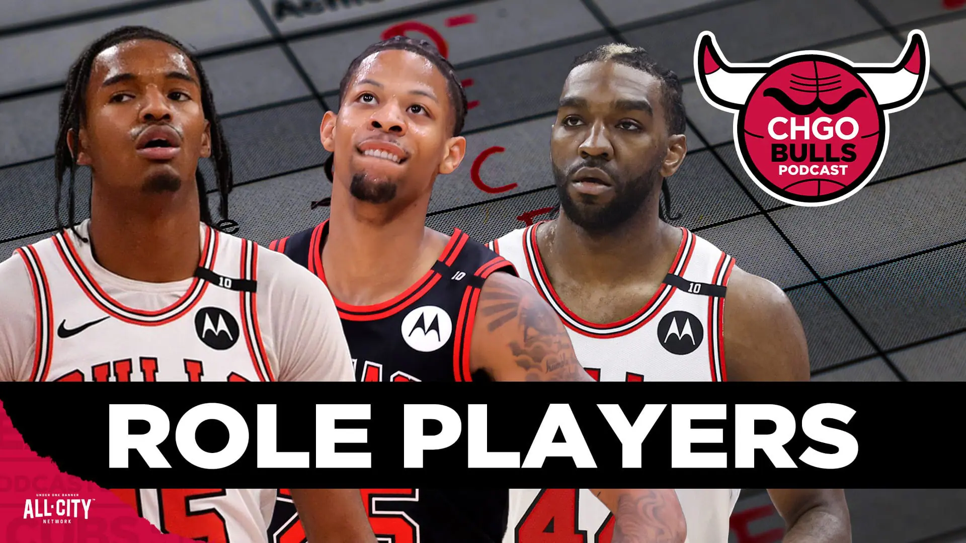 STANDARD POD Bulls 53