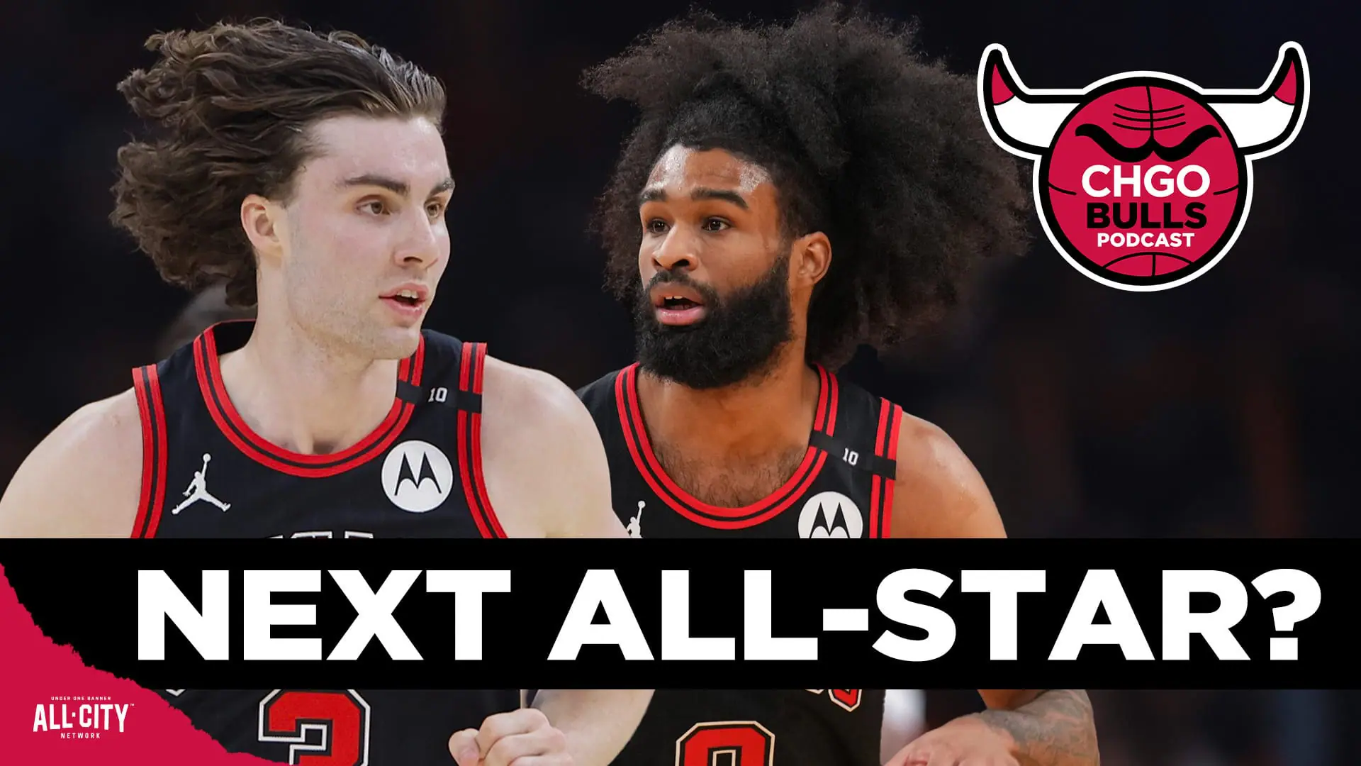 STANDARD POD Bulls 103