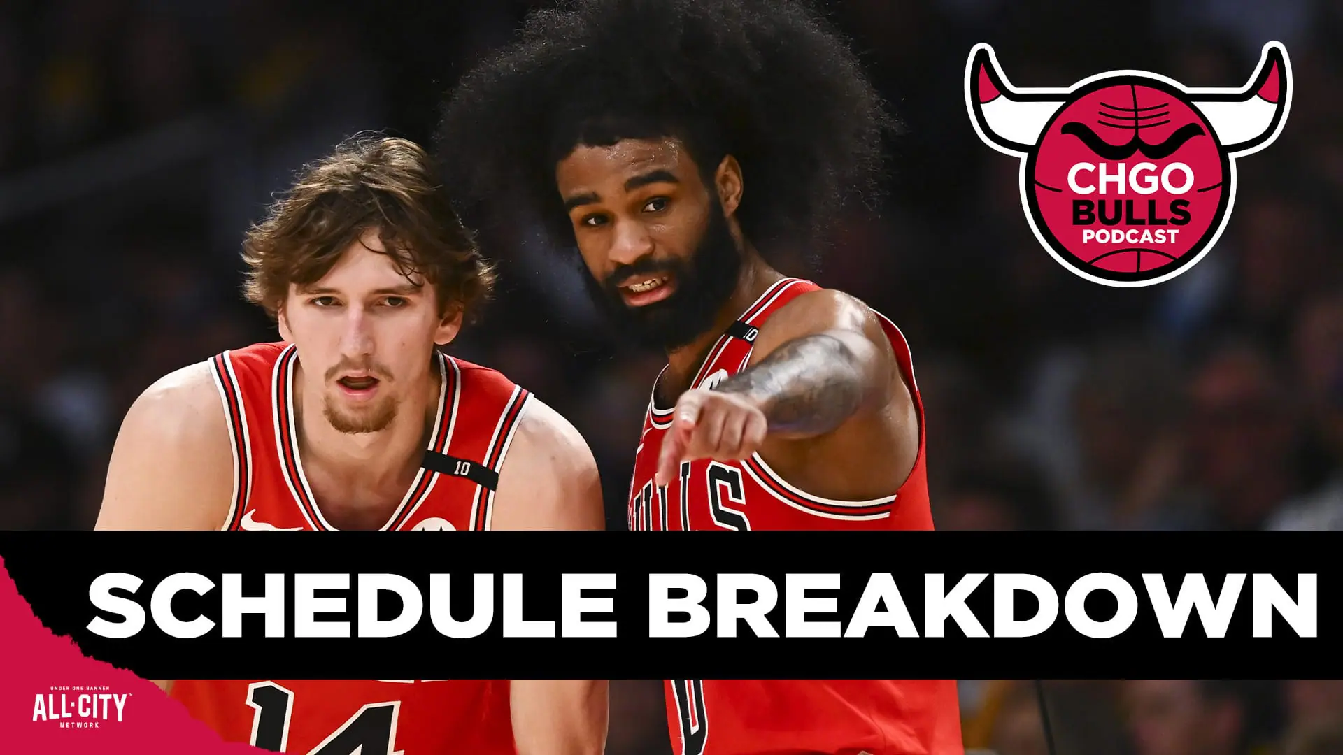 STANDARD POD Bulls 104