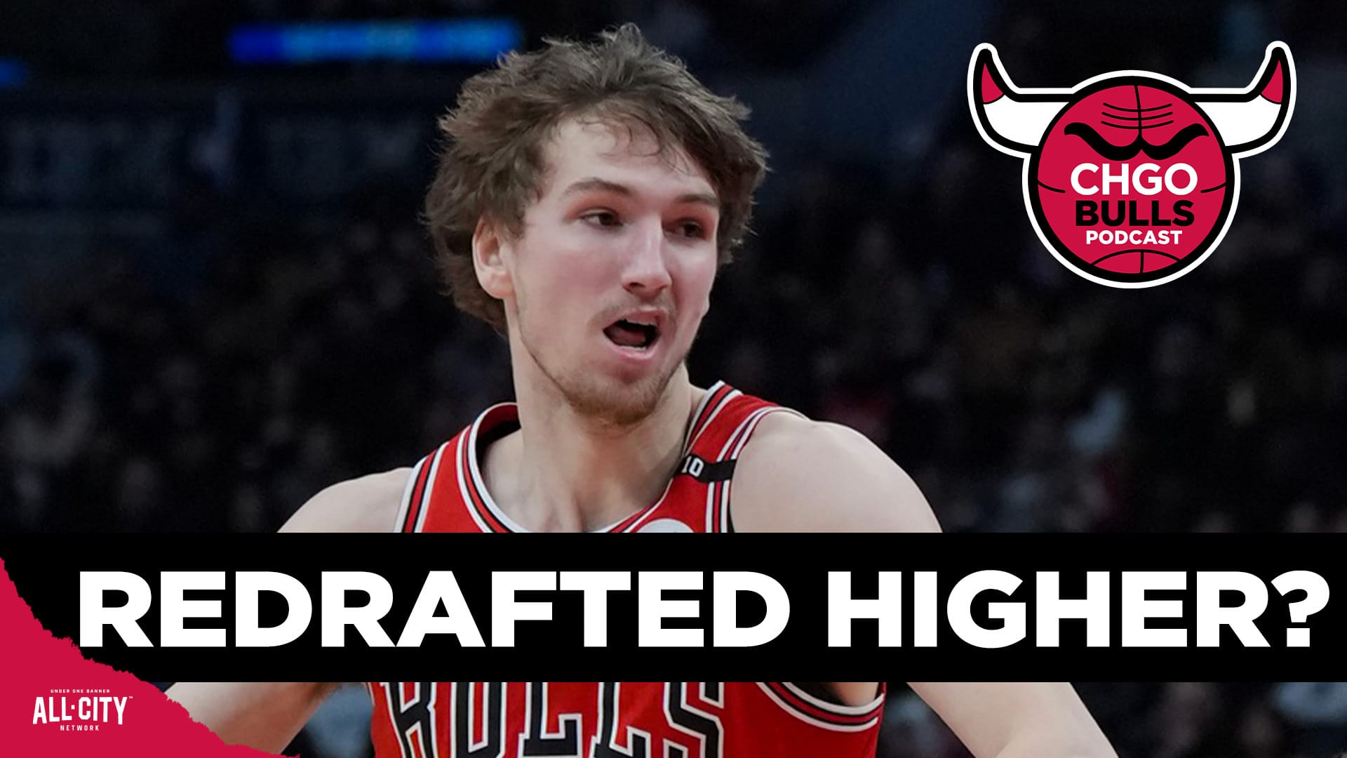 STANDARD POD Bulls 106