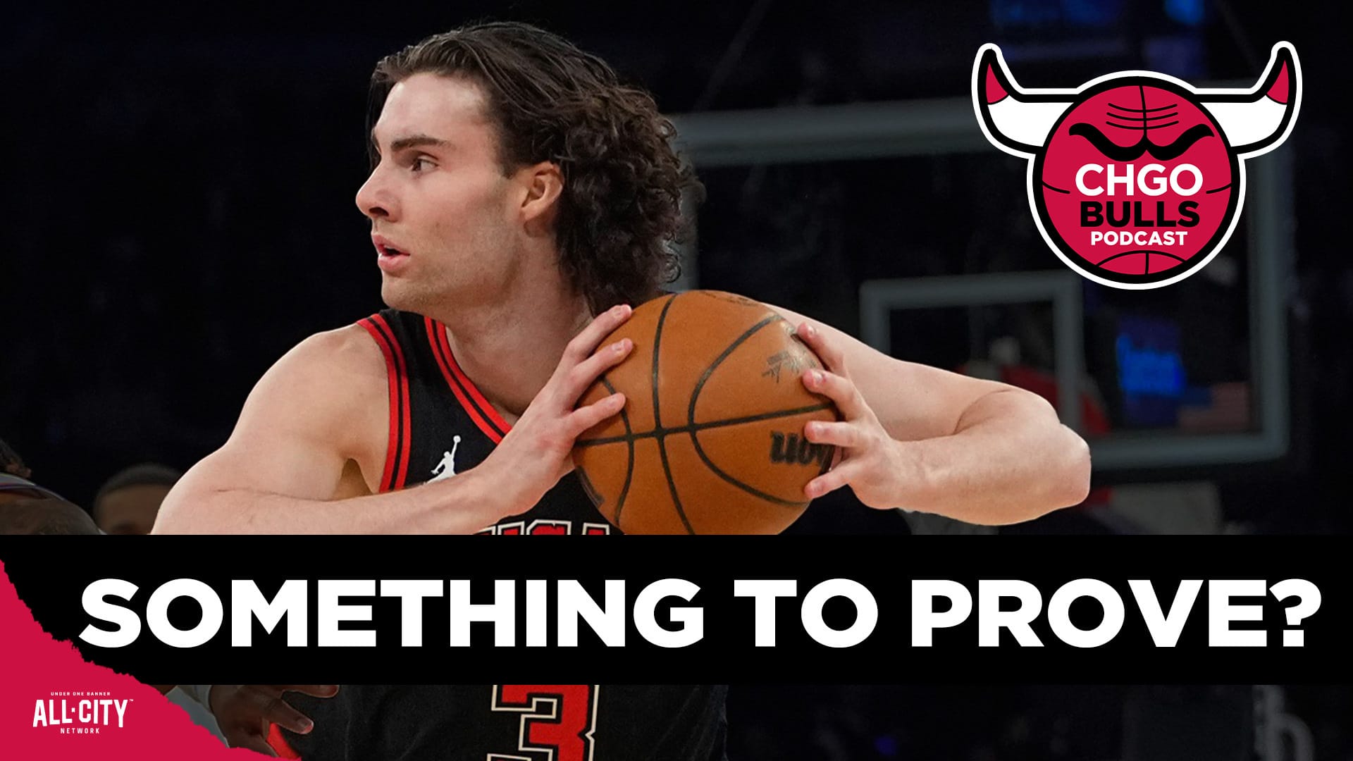 STANDARD POD Bulls 113