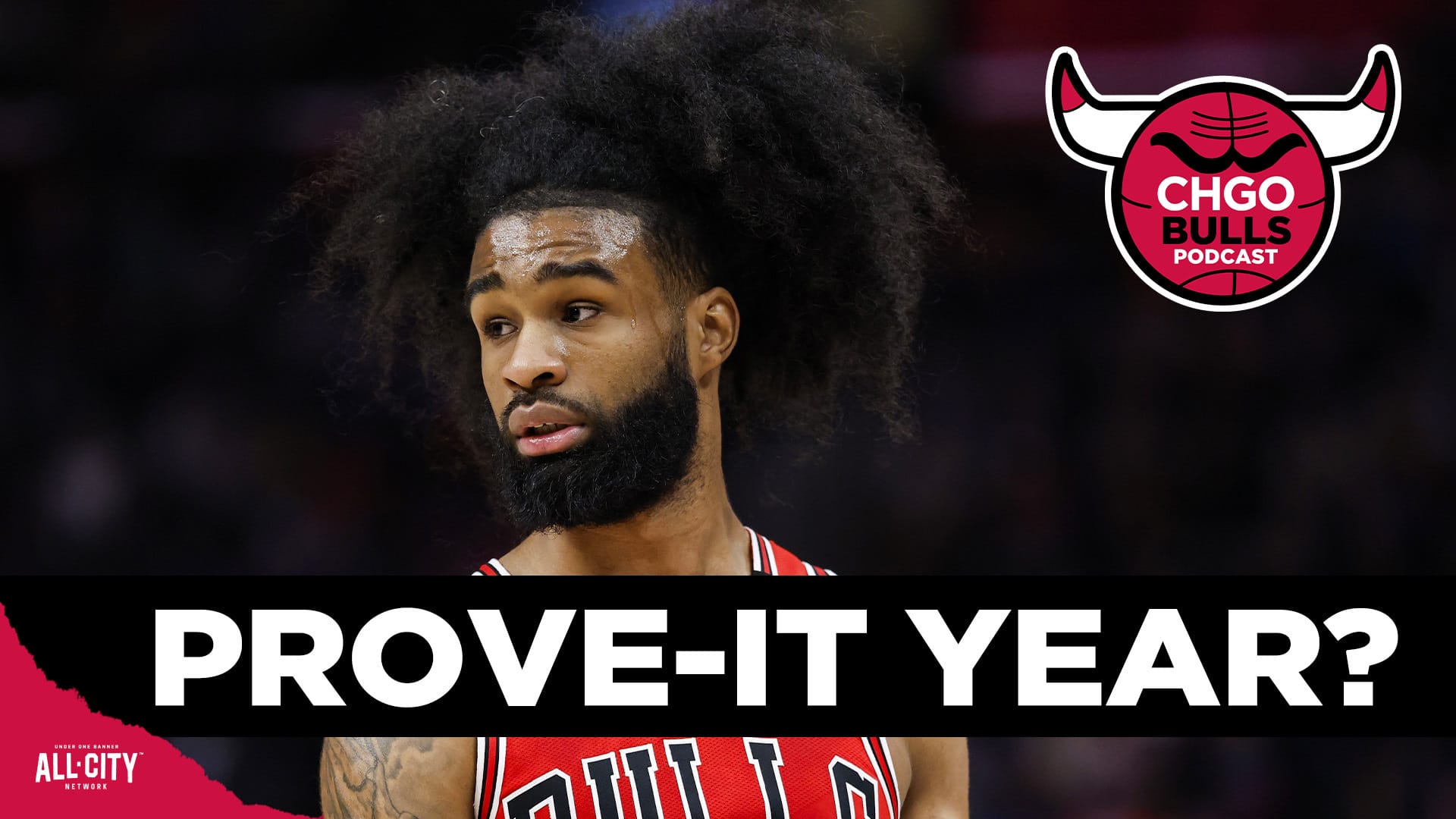 STANDARD POD Bulls 116