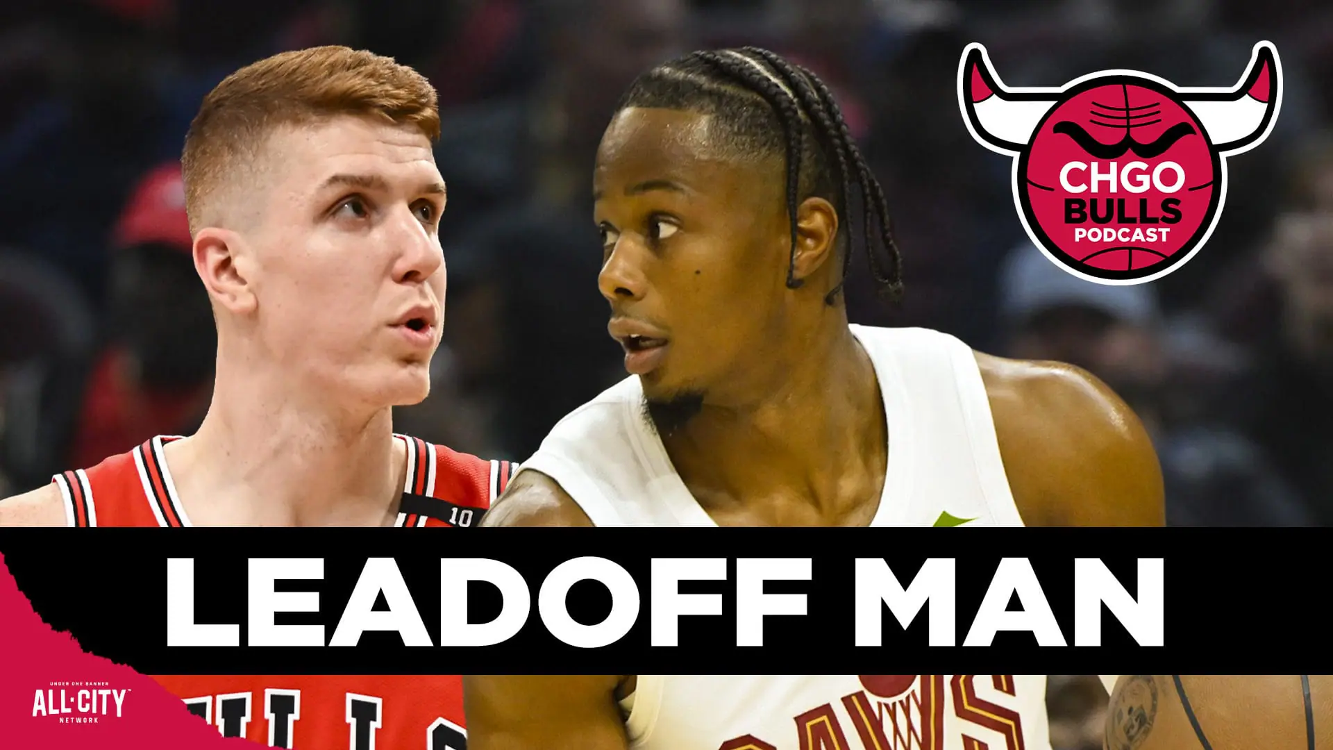 STANDARD POD Bulls 126