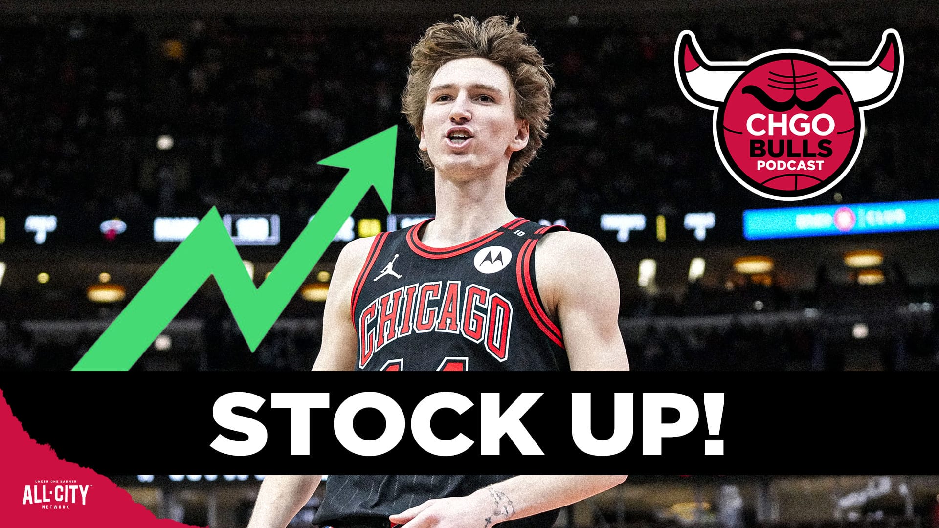 STANDARD POD Bulls 131