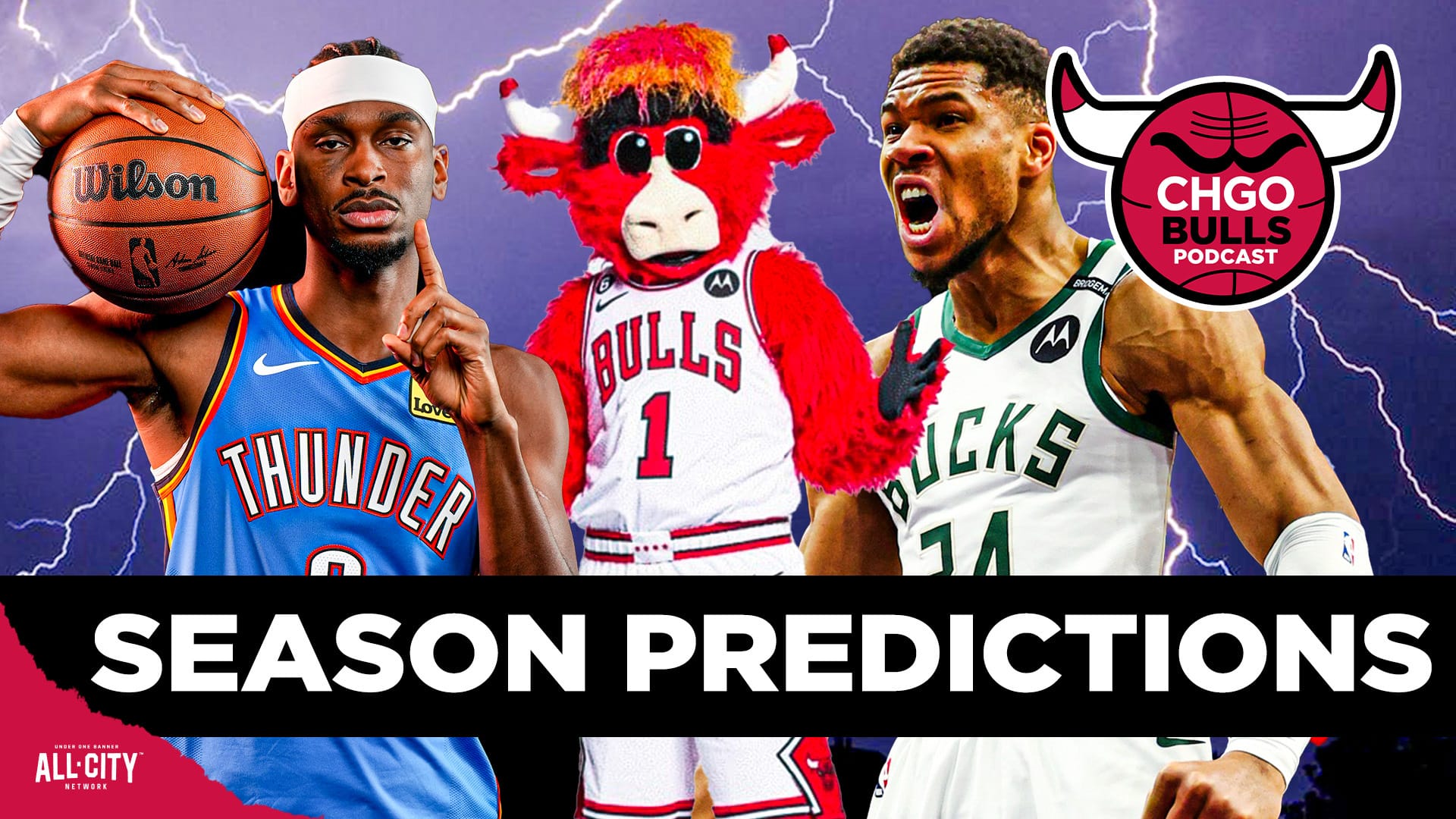 STANDARD POD Bulls 132