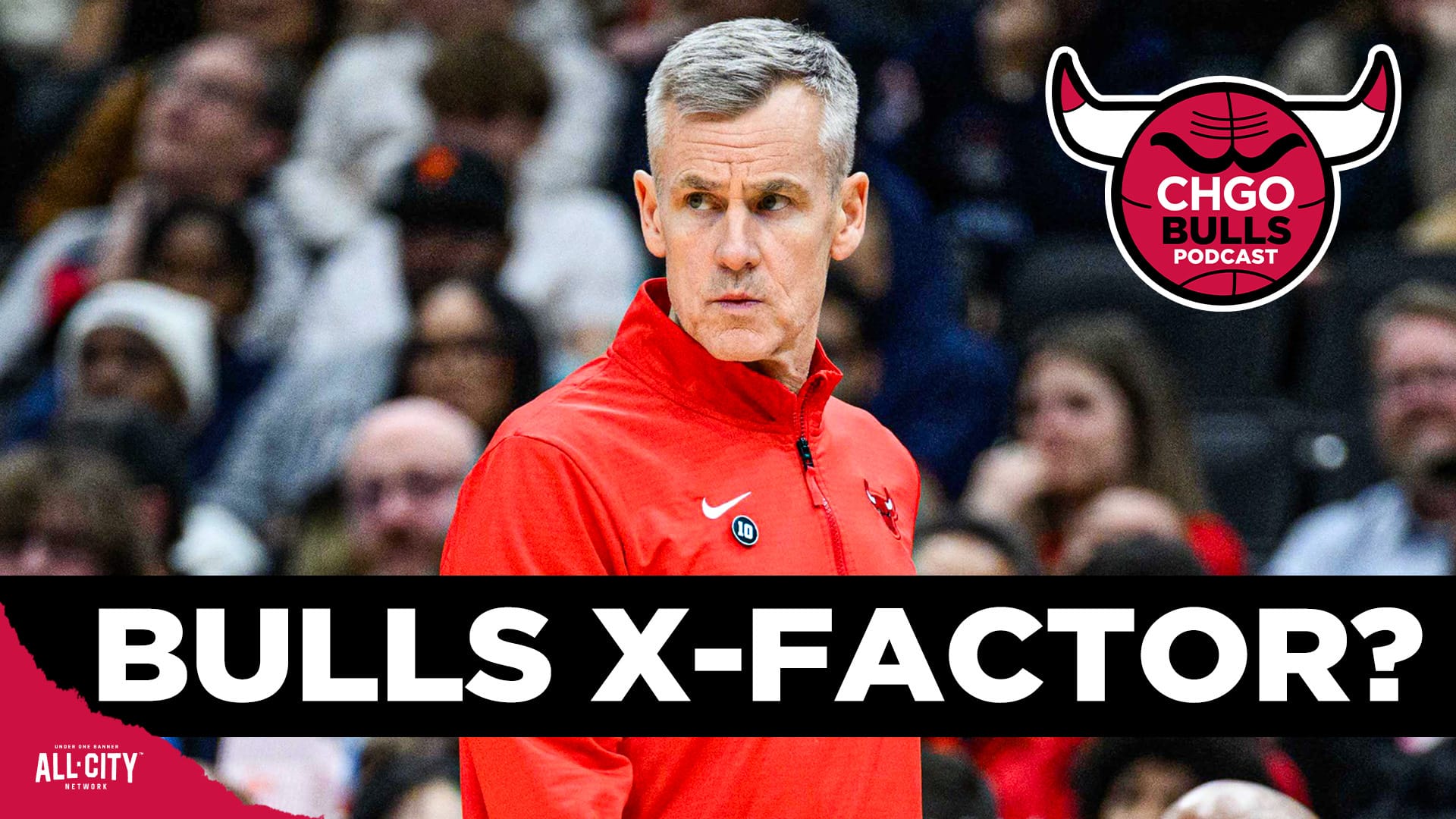 STANDARD POD Bulls 133