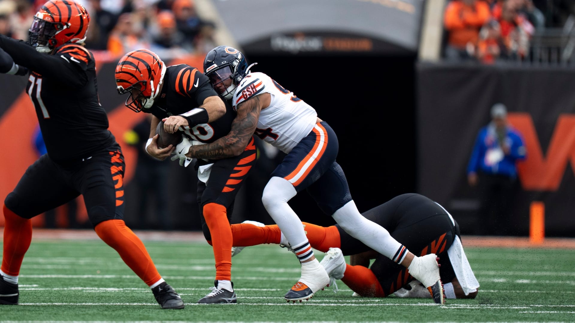 Chicago Bears defensive lineman Austin Booker (94) forces Cincinnati Bengals quarterback Joe Flacco (16) to fumble in the fourth quarter of the NFL football game between Chicago Bears and Cincinnati Bengals at Paycor Stadium in Cincinnati on Nov. 2, 2025.