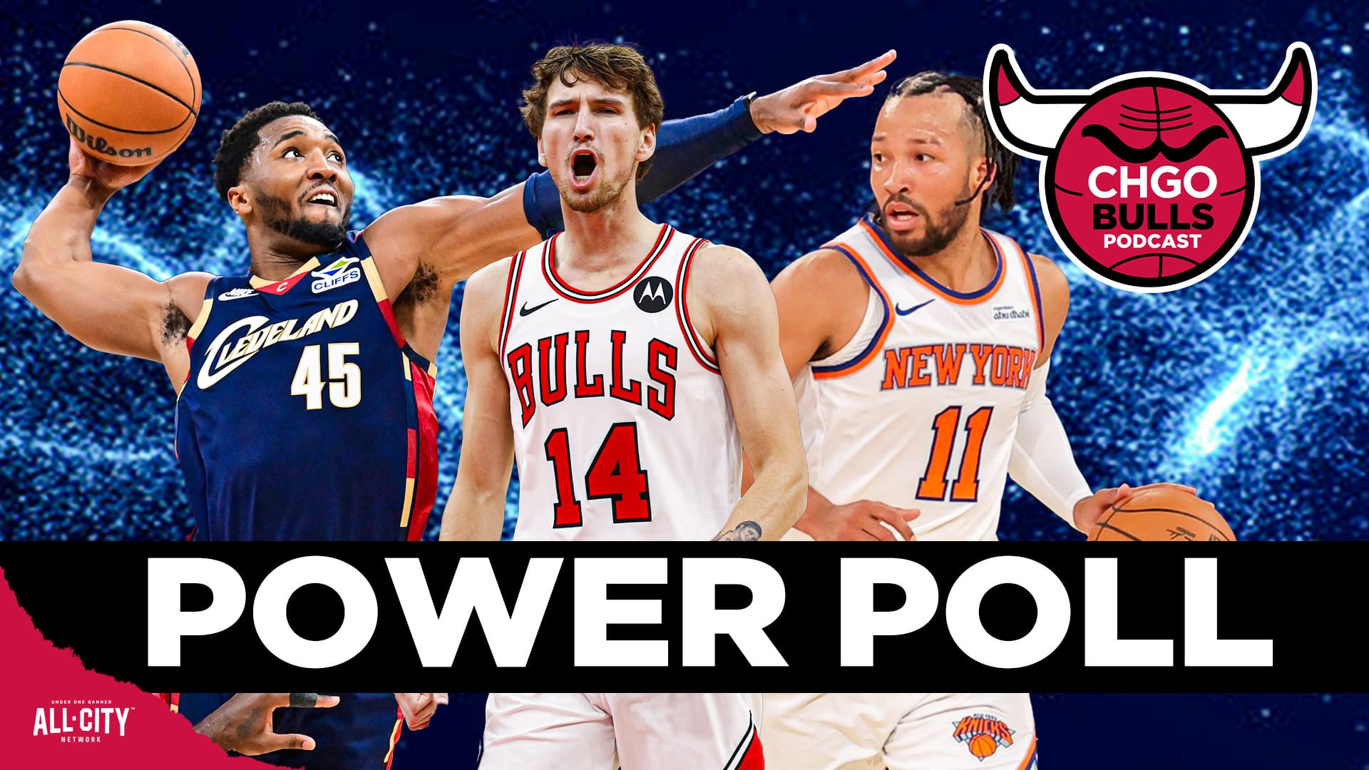 STANDARD POD Bulls 134