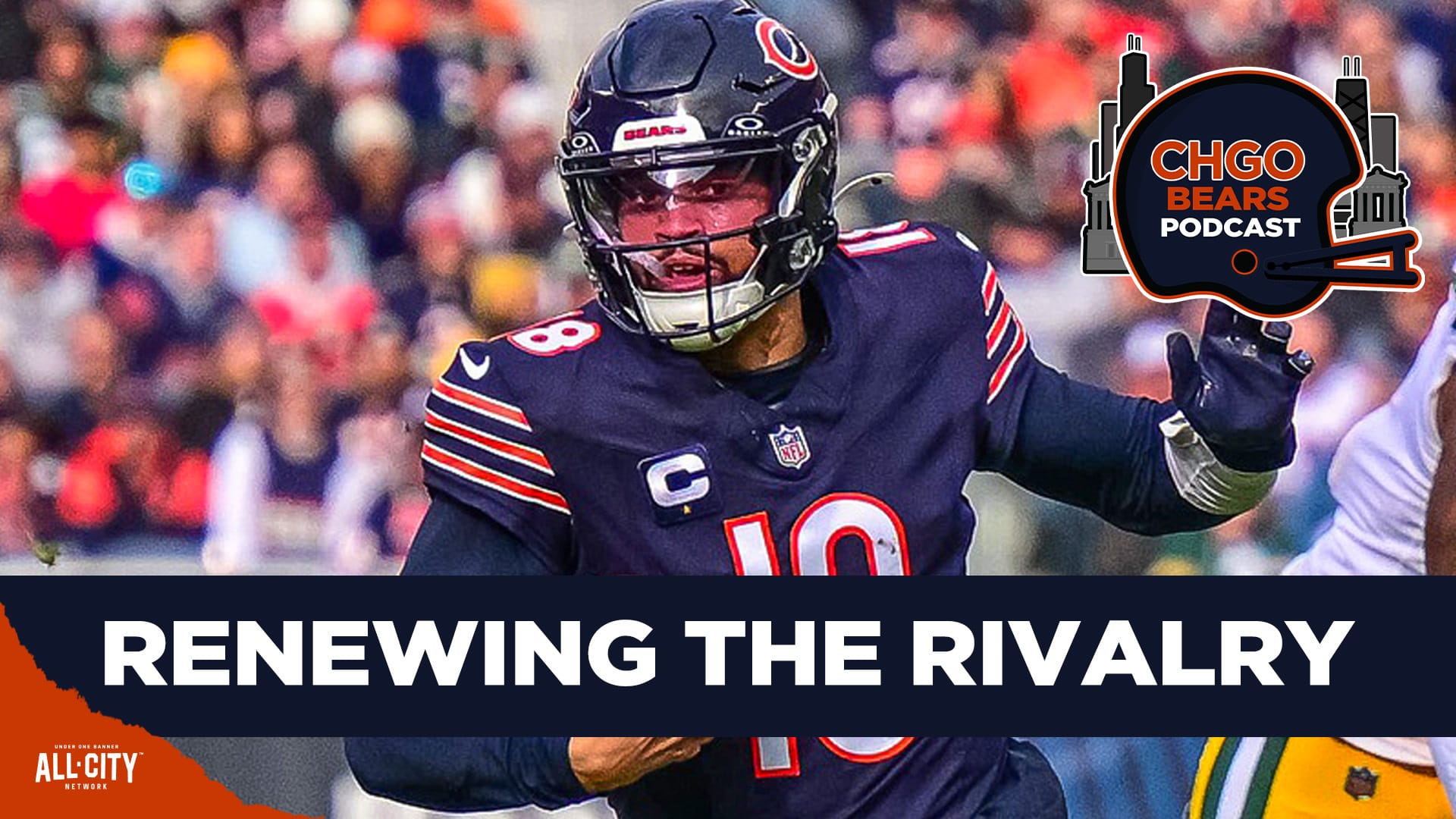 STANDARD POD Bears 39