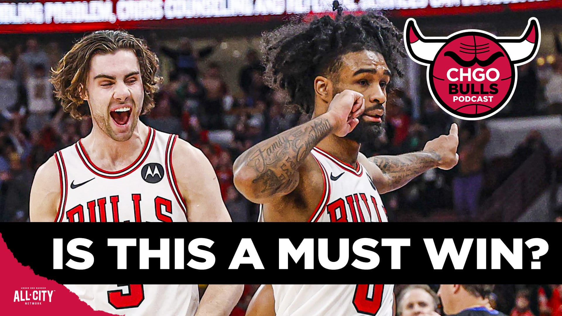 STANDARD POD Bulls 137