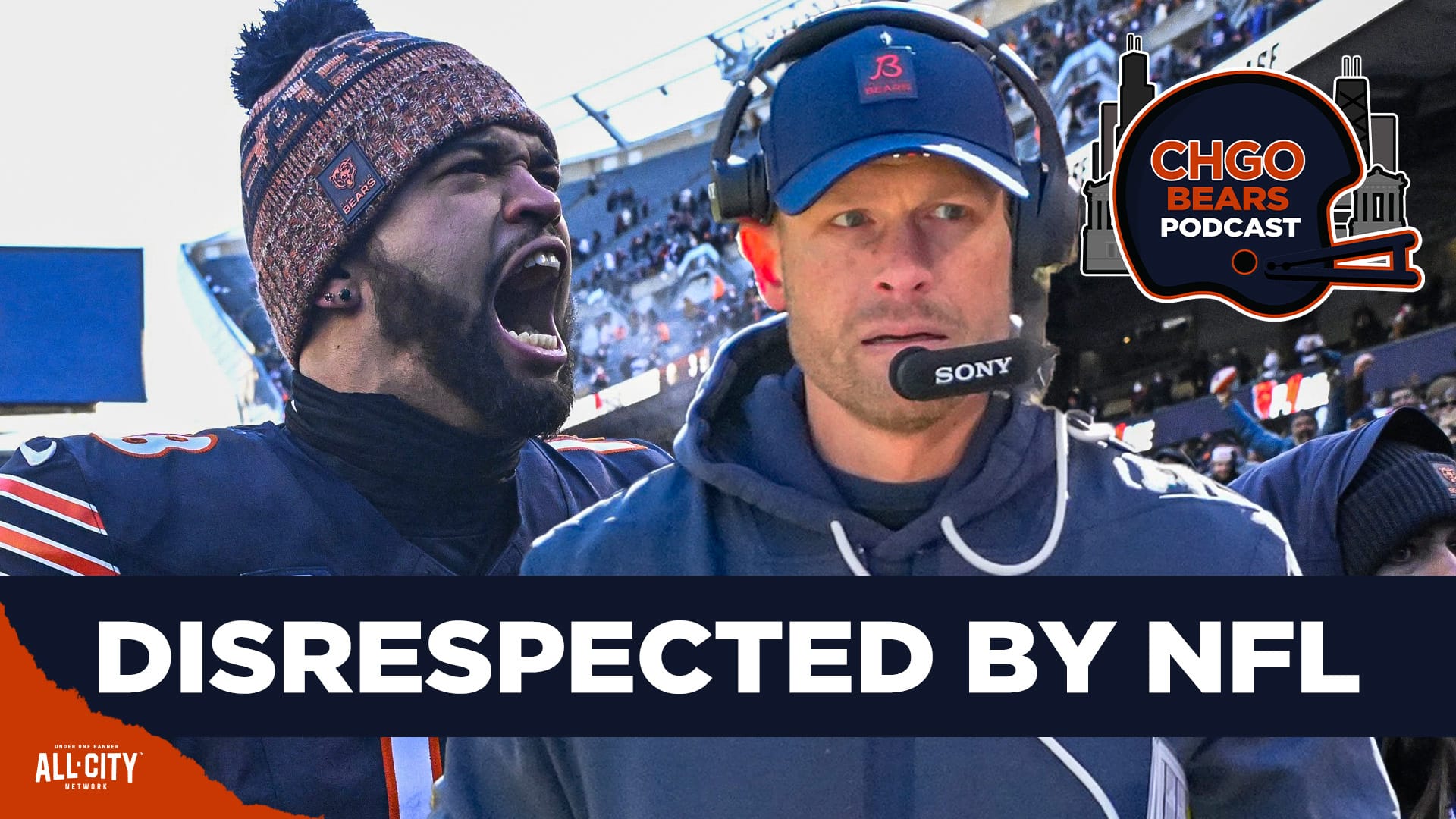 STANDARD POD Bears 42