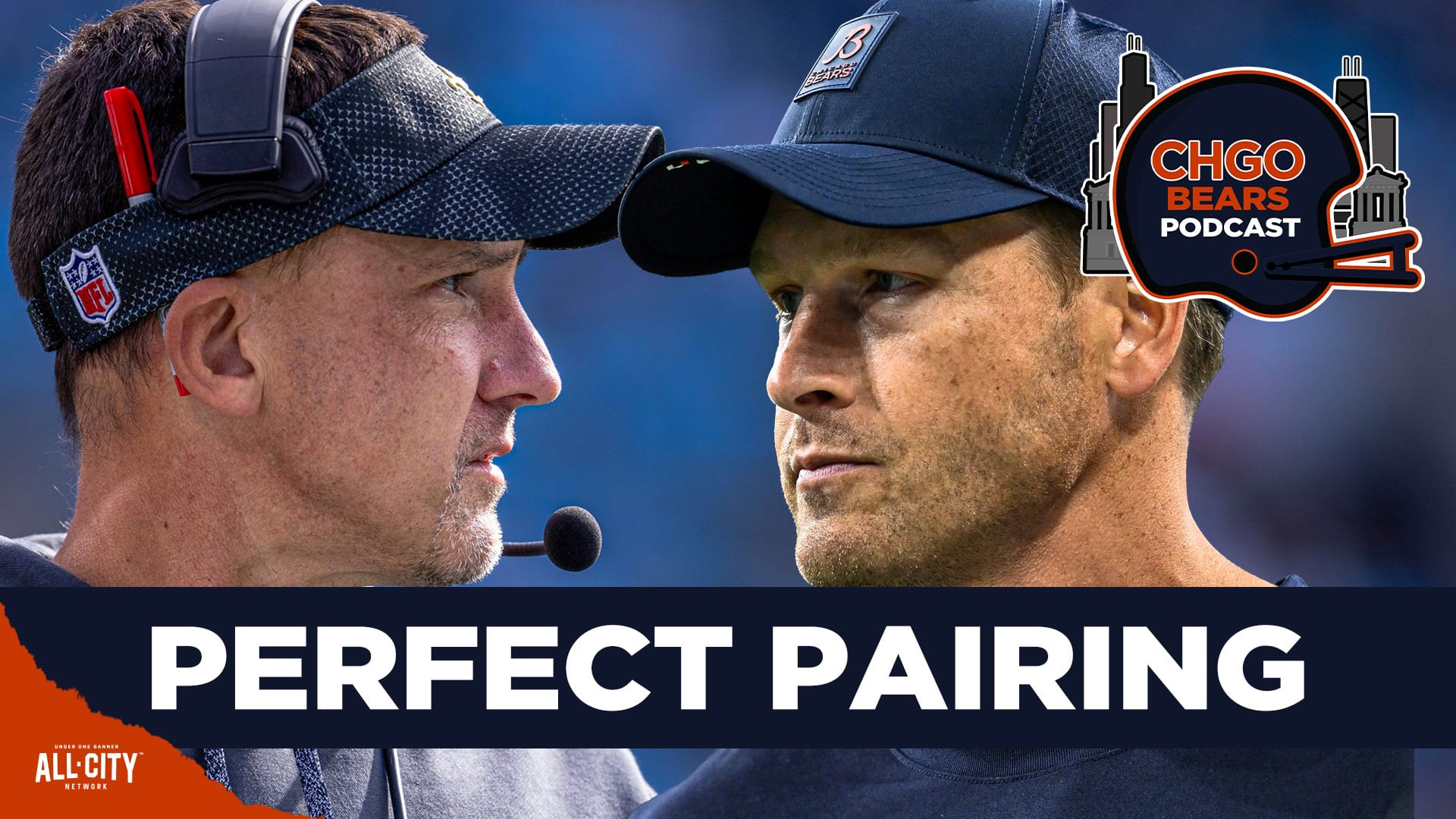 STANDARD POD Bears 43