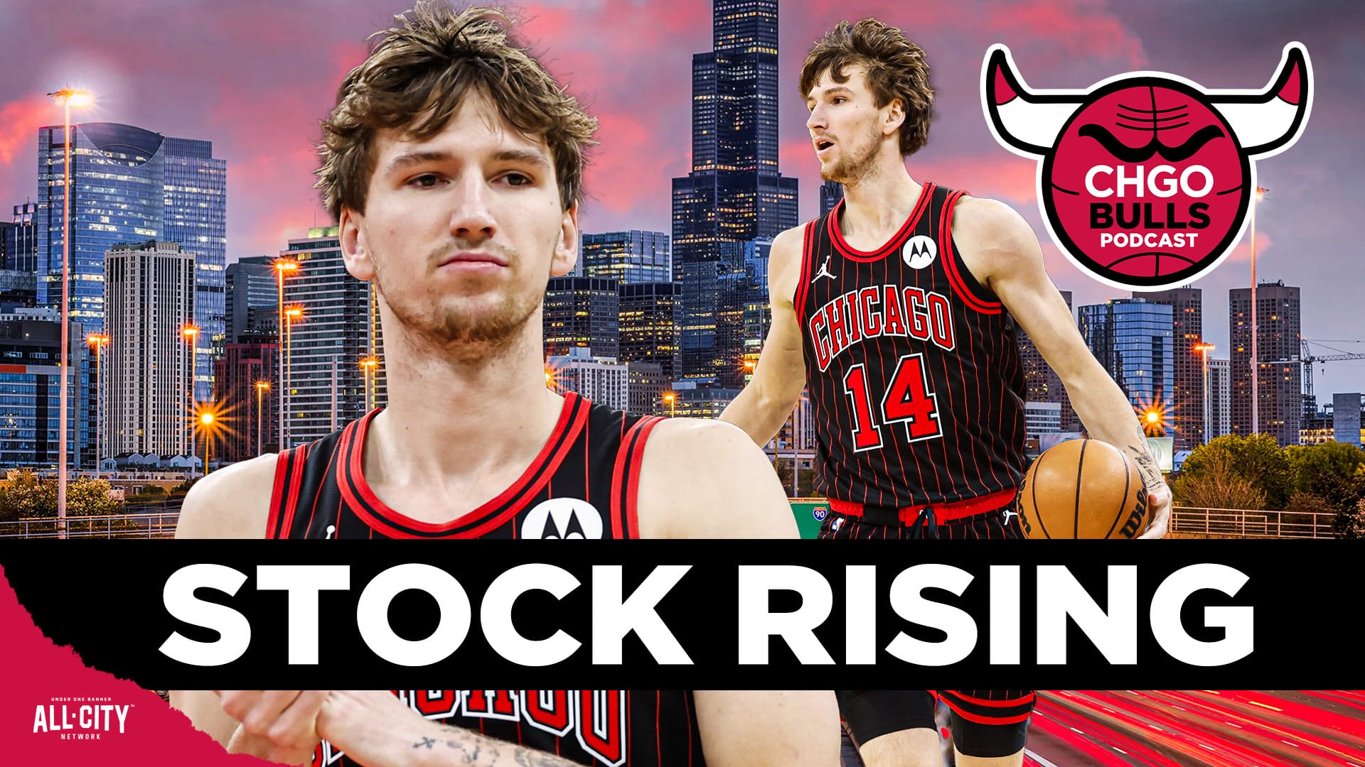 STANDARD POD Bulls 138