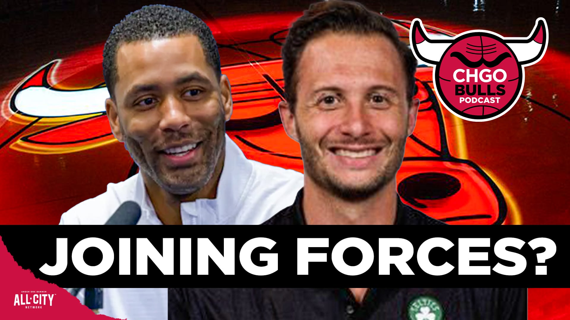 BULLS INTRO