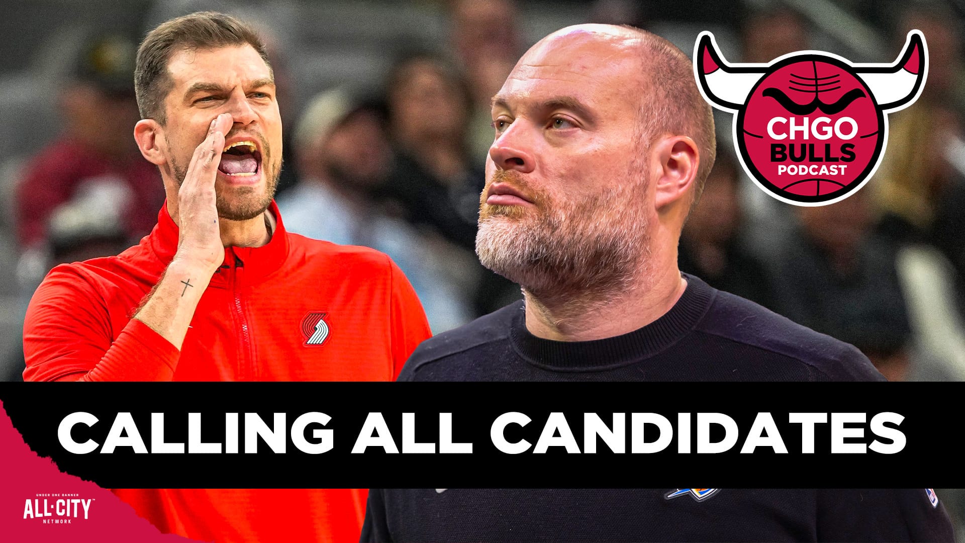 STANDARD POD Bulls 154