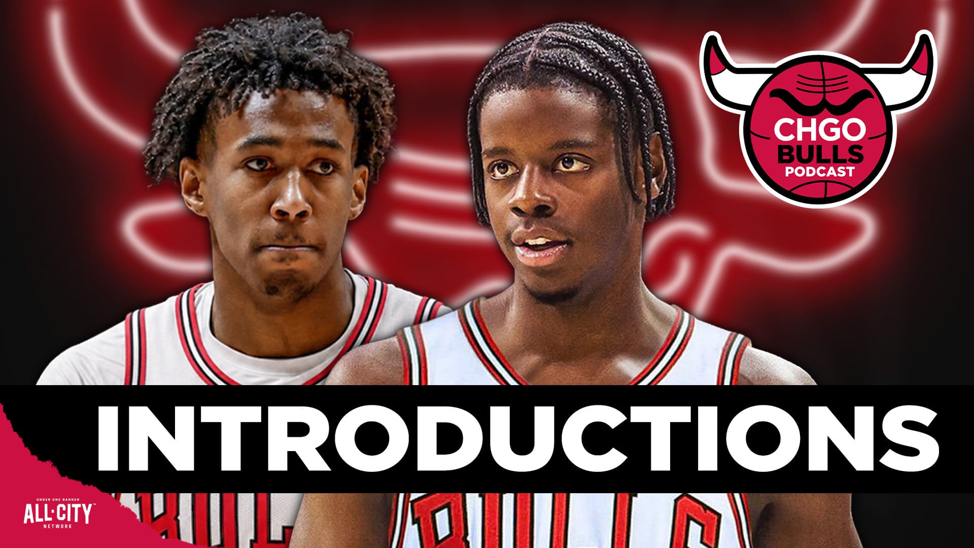 STANDARD POD Bulls 1