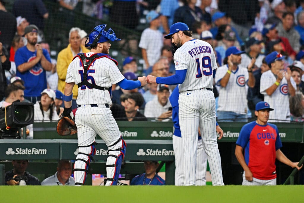 Aug 1, 2026; Chicago, Illinois, USA; Chicago Cubs catcher Carson Kelly (15) and Chicago Cubs pitcher David Peterson (19) react after the third inning against the New York Yankees at Wrigley Field.