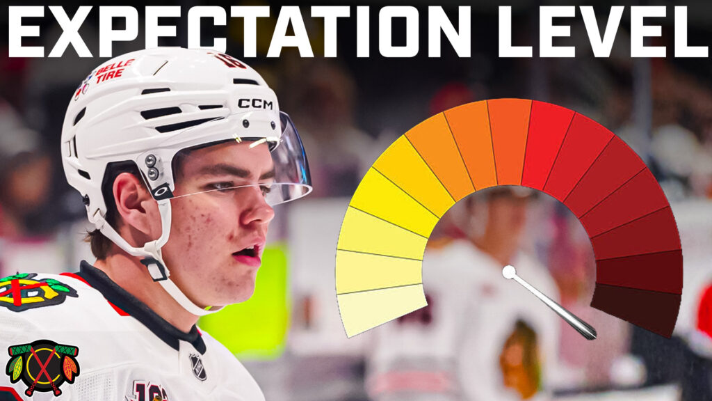 What Should the Chicago Blackhawks EXPECT From Anton Frondell This Season?