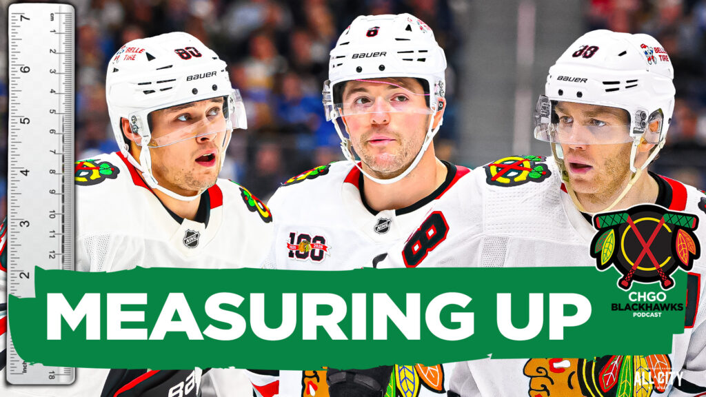 How Do the Chicago Blackhawks Rank in SIZE Compared to the Rest of the NHL? | CHGO Blackhawks